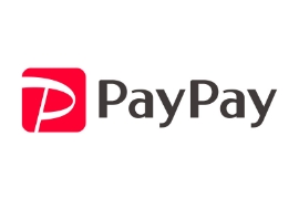 pay pay